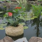 CW Planters2