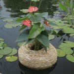 CW Planters3