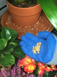 Mosquito Bits® in-use2