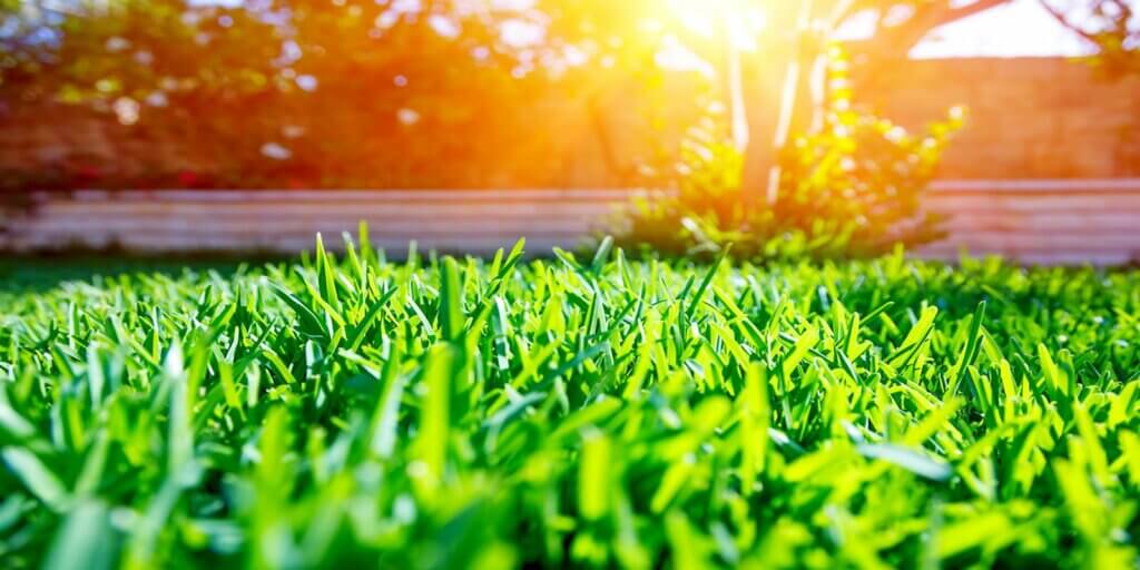 Lawn & Garden