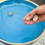 pieces for bird bath
