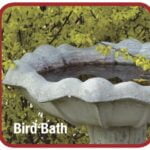 Bird Bath