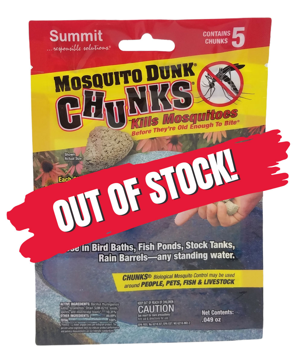 DunksCHOutofstock