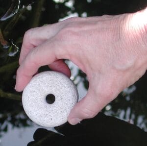 mosquito-dunk