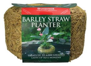 Barley Straw Planter