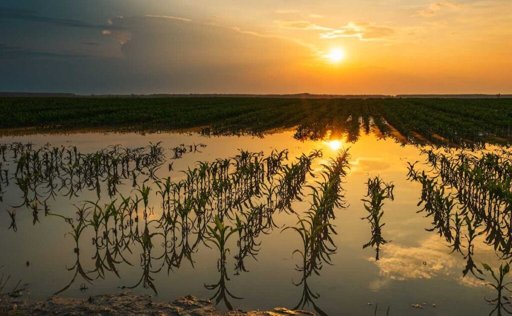 From Mosquito Control to Sustainable Agriculture